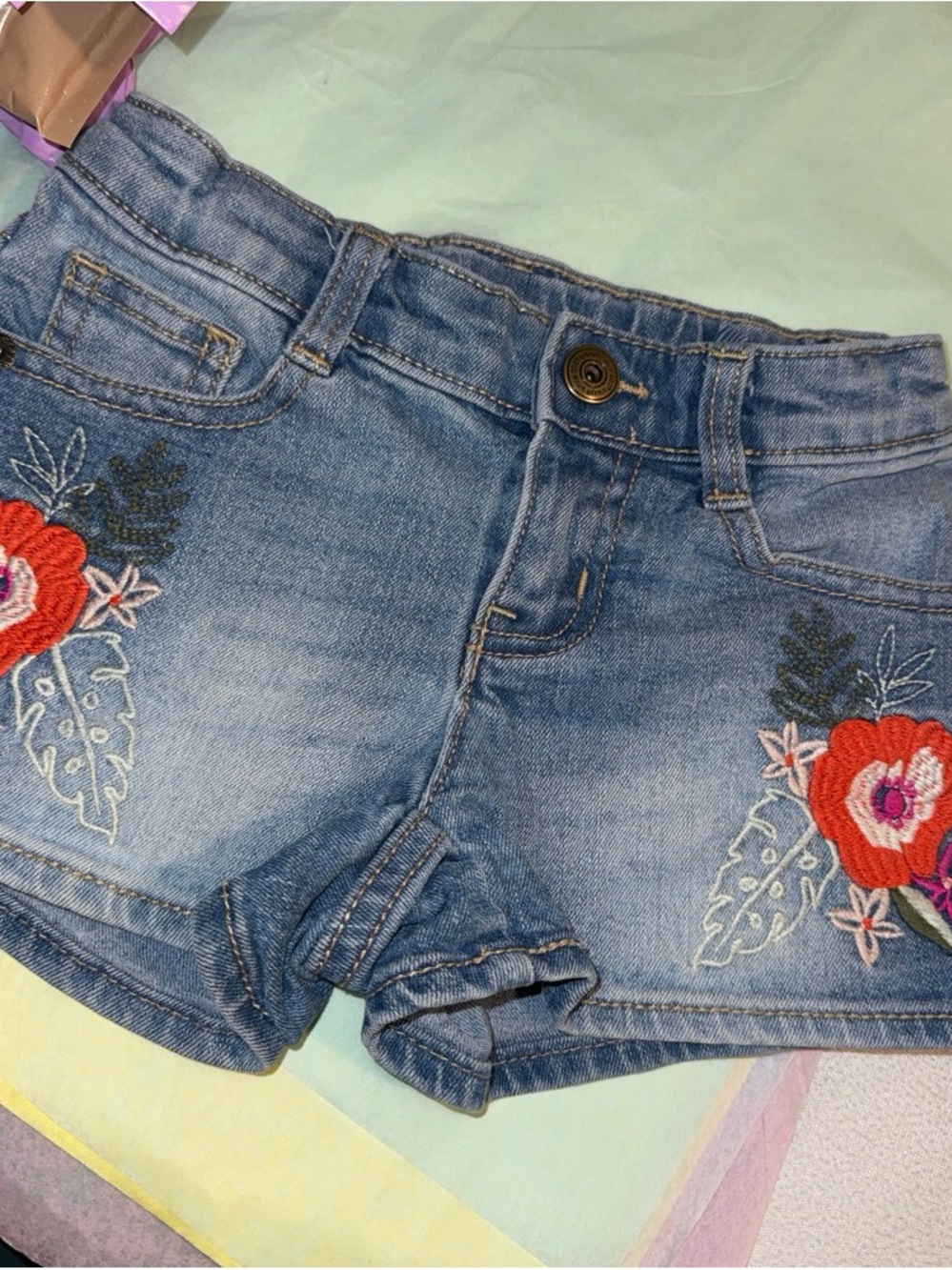 Crazy 8 Light Blue Denim Shorts with Red Floral Embroidery